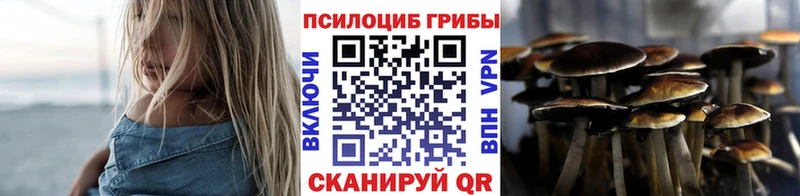Галлюциногенные грибы Cubensis  Полевской 